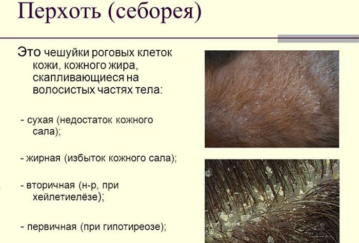 Дождь на свадьбе - примета хорошая Детские поделки своими руками. Примеры и фото поделок