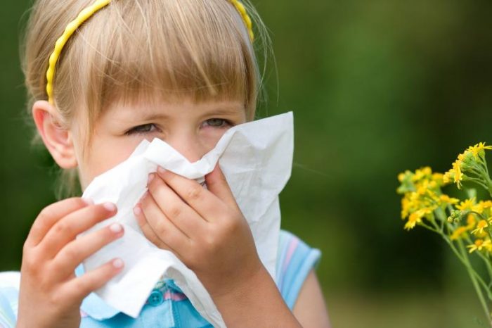 аллергия на пыльцу растений