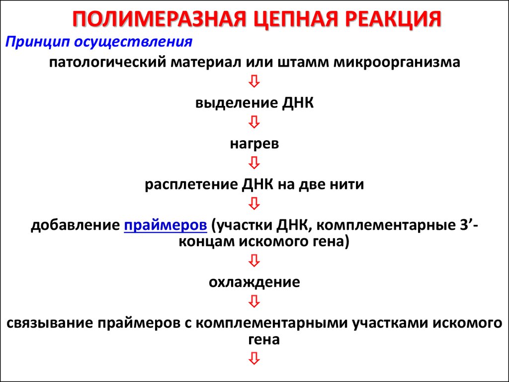 Кандида в кале у грудничка: симптомы грибка у ребенка